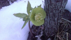 Слънчево време с пролетни температури