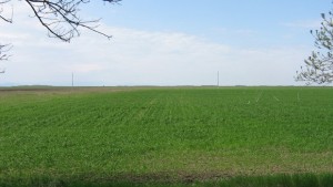 Има пропаднали земеделски площи заради дъждовете