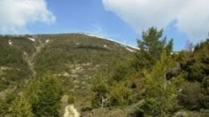 Седмица на гората в Дупница