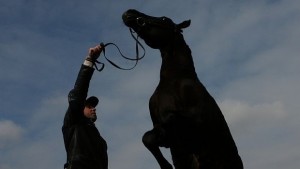 На Тодоровден мъжете сплитат опашките и гривите на конете