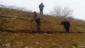 Откриха залесителната кампания в община Струмяни