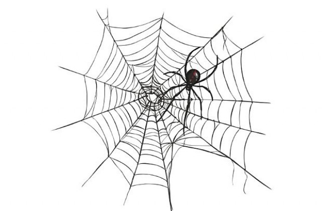 Паяк осакатява партньорката си след секс