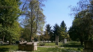 С Час по екология отбелязват Деня на водата в РИМПлевен