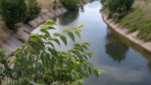 Световен ден на водата