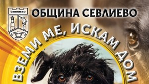 Вземи ме искам дом