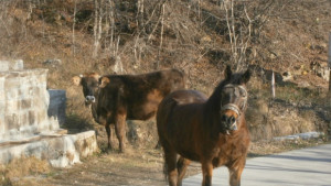 Дъжд на места с гръмотевици