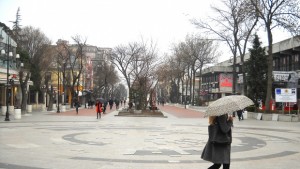 Изминалите януари и февруари найтоплите досега във Варна