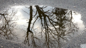 Времето на 24 март Валежите няма да спрат температурите падат