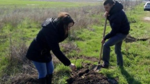МГЕРБСливен проведе акция по залесяване под мотото Остави следа и