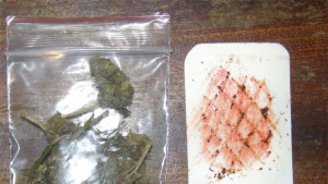 Задържаха млад мъж за притежание на марихуана