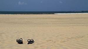 Ново предложение Разпъваме си палатката свободно