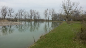 Община Търговище алармира за опасен язовир