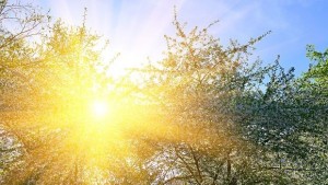 Завръща ли се пролетта и каква седмица ни чака