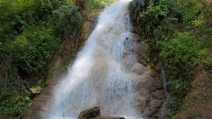 Откриха уникална риба в Тайланд