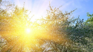 Времето на 28 март Слънчево