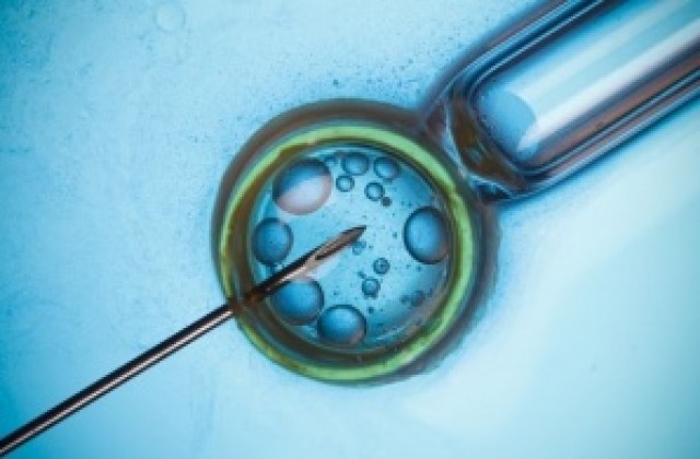 Специалисти по репродуктивна медицина преглеждат и през април