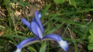 Прогноза за времето за 28 март понеделник