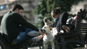 След студеното утро обещават лято до края на седмицата