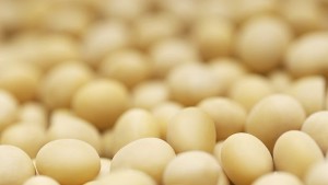 Внимавайте за опасни яйца на пазара за Великден