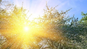 Температурите се повишават