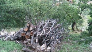 Хванаха бургазлия с 16 кубика дърва за огрев в с