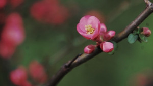 Времето на 30 март Температурите гонят 20 градуса