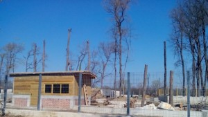 Зоологическата градина вече има директор започва подбор на животните