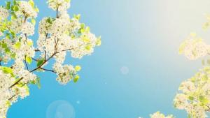 До 30 градуса още през април обещават синоптиците