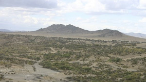 Увеличението на азота намалява растителността