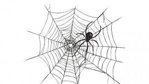 Каква е еволюцията на паяците