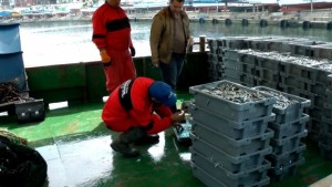ИАРА затяга контрола Бракониери вадят маломерен калкан