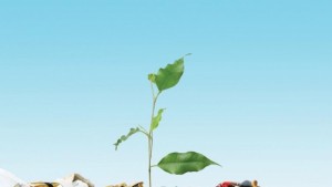 Отпадъците проблем или ресурс