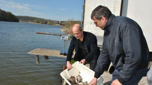 Зарибиха езерото в Лесопарка с 4500 броя толстолоб