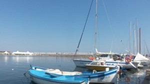 Забраняват улова на калкан до 30 юни