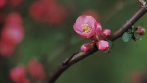 Отново слънчево