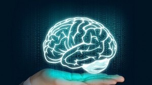 Лошите спомени в кошче на мозъка