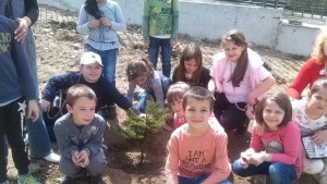 Започна залесяване на двора на ОУ Св Св Кирил и