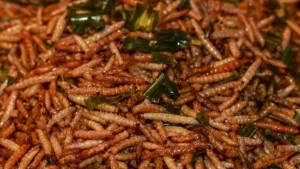 Маймунско месо и гъсеници за малко да станат част от