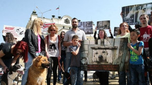 Протестиращи Приютите за бездомни животни гълтат пари не са хуманни