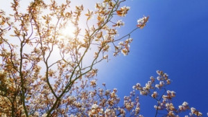 Времето на 4 април Слънчево и потопло