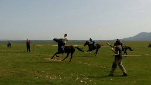 ВМРО организира конни надбягвания