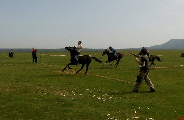 ВМРО организира конни надбягвания
