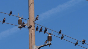 Времето на 5 април Температурите скачат до 27 градуса на