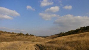 Есенниците в Добруджа са в добро състояние