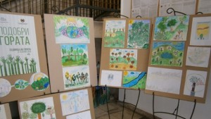 Изложба на тема Опознай гората и ще я обикнеш