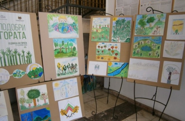 Изложба на тема Опознай гората и ще я обикнеш