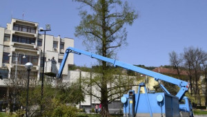Боядисват и почистват стълбовете на уличното осветление във Велико Търново