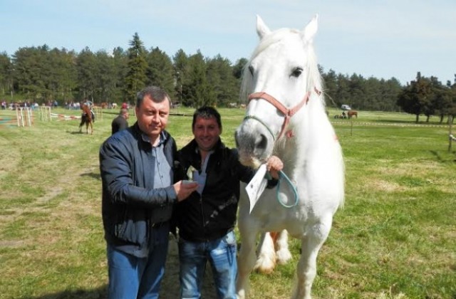 Младен Огнянов показа най-красивия кон на Старостилен Тодоровден в Павликени