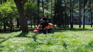 Във Велико Търново обработват тревните площи срещу кърлежи и бълхи