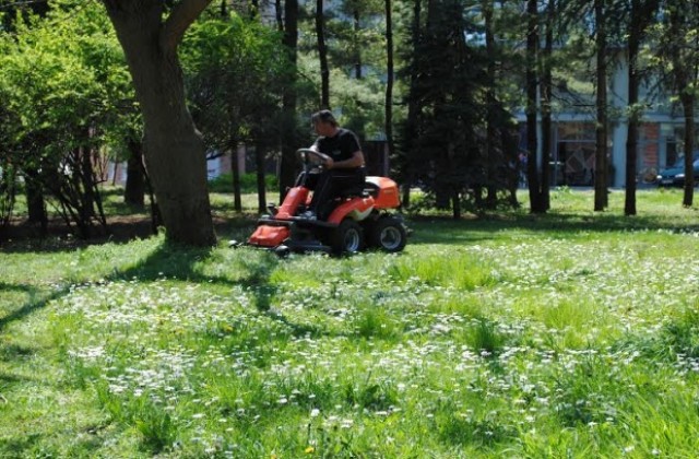 Във Велико Търново обработват тревните площи срещу кърлежи и бълхи